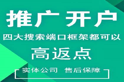 百度推广费用投入与品牌故事传播的案例分析